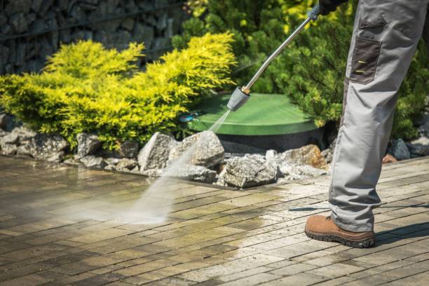 Best Sidewalk and Walkway Cleaning  in Baidland, PA