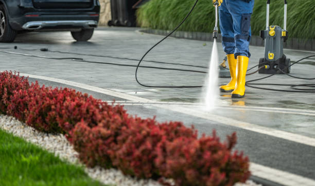 Best Building Exterior Washing  in Baidland, PA